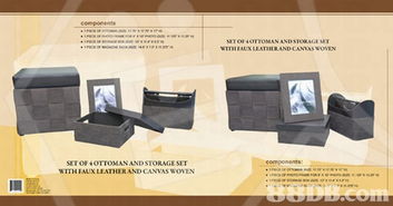 夏日创意风暴 专业设计服务，平通全港的视觉盛宴